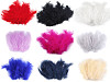 Ostrich Feathers length 9-16 cm