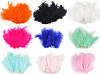 Ostrich Feathers length 9-16 cm