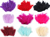 Ostrich Feathers length 9-16 cm