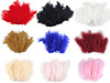 Piume di struzzo, lunghezza: 9-16 cm
