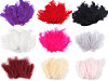 Plumes d'autruche - longueur 9-16 cm