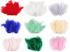 Plumes d'autruche - longueur 9-16 cm