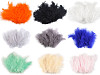 Plumes d'autruche - longueur 9-16 cm