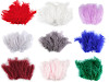 Ostrich Feathers length 9-16 cm