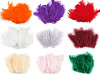 Pene decorative struț, lungime 9-16 cm