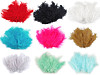 Ostrich Feathers length 9-16 cm