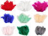 Ostrich Feathers length 9-16 cm