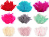 Ostrich Feathers length 9-16 cm