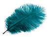 Pštrosie perie dĺžka cca 20-25 cm