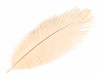 Pštrosie perie dĺžka cca 20-25 cm