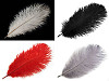 Ostrich Feather length approx. 20-25 cm