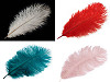 Ostrich Feather length approx. 20-25 cm