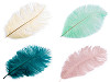 Ostrich Feather length approx. 20-25 cm