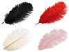 Plumas de avestruz largo 20-25cm