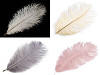 Plume d'autruche - longueur environ 20 à 25 cm