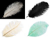Plumas de avestruz largo 20-25cm
