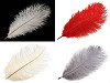 Strusie pióra długość ok. 20 - 25 cm