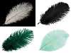 Plumas de avestruz largo 20-25cm