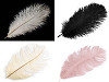 Ostrich Feather length approx. 20-25 cm