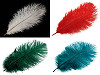 Plume d'autruche - longueur environ 20 à 25 cm