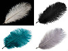 Plume d'autruche - longueur environ 20 à 25 cm