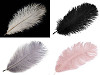 Plumas de avestruz largo 20-25cm