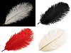 Plumas de avestruz largo 20-25cm