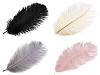 Ostrich Feather length approx. 20-25 cm