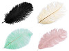 Plumas de avestruz largo 20-25cm