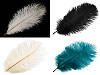 Plume d'autruche - longueur environ 20 à 25 cm