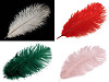 Strusie pióra długość ok. 20 - 25 cm