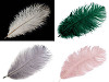 Ostrich Feather length approx. 20-25 cm