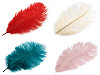 Plumas de avestruz largo 20-25cm