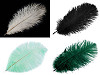 Strusie pióra długość ok. 20 - 25 cm