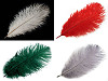 Strusie pióra długość ok. 20 - 25 cm
