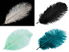 Ostrich Feather length approx. 20-25 cm