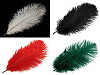 Pštrosie perie dĺžka cca 20-25 cm