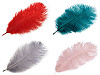 Ostrich Feather length approx. 20-25 cm