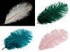 Ostrich Feather length approx. 20-25 cm