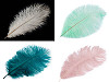 Ostrich Feather length approx. 20-25 cm
