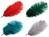 Pene decorative struț, lungime cca. 20-25 cm