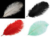 Plumas de avestruz largo 20-25cm