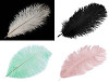 Strusie pióra długość ok. 20 - 25 cm