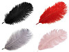 Pene decorative struț, lungime cca. 20-25 cm