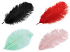 Plume d'autruche - longueur environ 20 à 25 cm