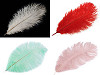 Strusie pióra długość ok. 20 - 25 cm