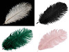 Plumas de avestruz largo 20-25cm