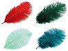 Plumas de avestruz largo 20-25cm