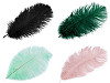 Ostrich Feather length approx. 20-25 cm