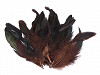 Decorative Hen Feathers length 6-20 cm